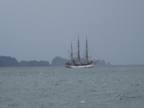 Tall ship in Bay of Islands