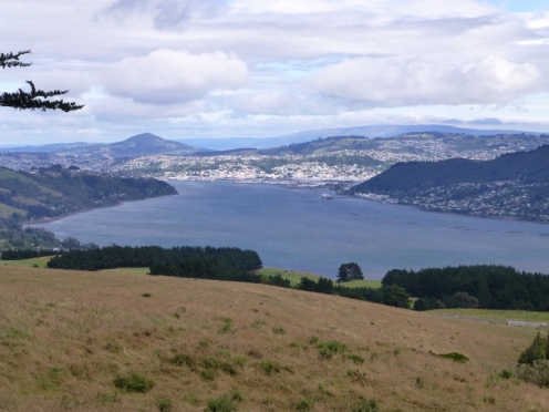 Dunedin viewed from the Otago Peninsula
